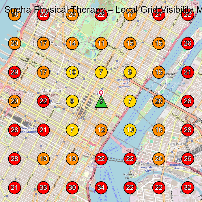 Sneha Physical Therapy GeoGrid visibility map for Physical Therapist in New York